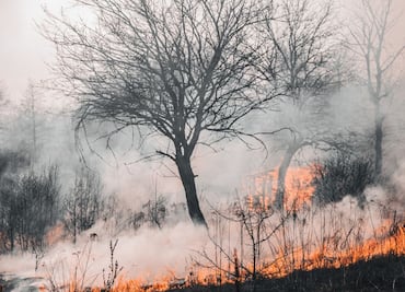 Pierde Hidalgo 54 hectáreas durante temporada de sequía; van 21 incendios