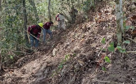 Combaten incendio forestal en Santo Domingo, Jacala
