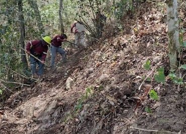 Combaten incendio forestal en Santo Domingo, Jacala
