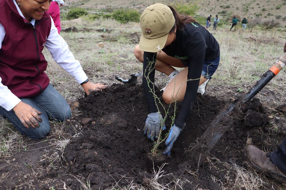 Reforestación en Cerro Grande: UTTT y Semarnath unen fuerzas por el medio ambiente | Foto: Semarnath