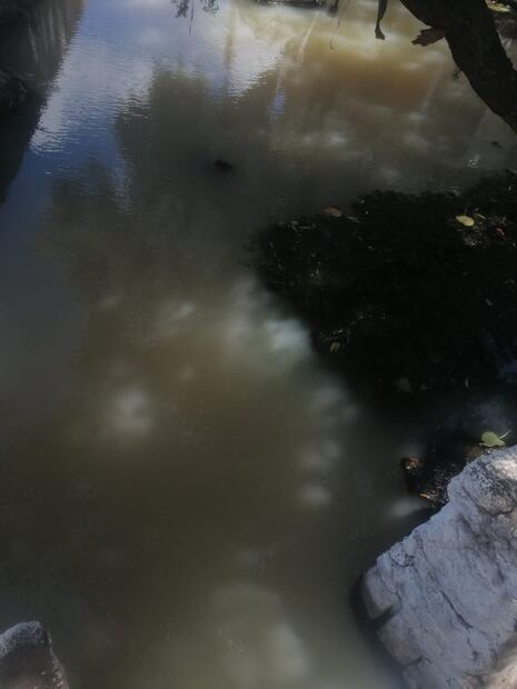 Advierten de daños a veneros de agua por trabajos Pemex | Foto: Especial