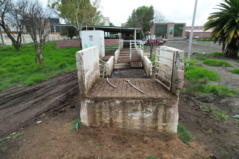 Pachuca lanza licitaciones por 2 mdp para mejorar el rastro municipal | Foto: especial