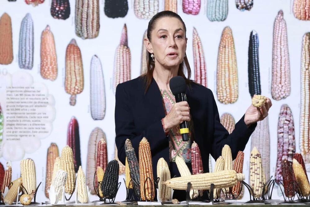 La presidenta Claudia Sheinbaum durante su conferencia matutina desde Palacio Nacional. Foto: Agencia EL UNIVERSAL/Fernanda Rojas/RDB.