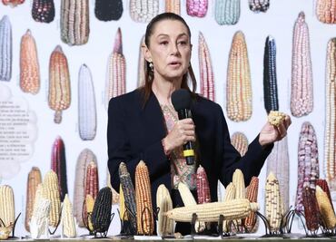 Sheinbaum no descarta creación de tortillerías de maíz nativo en todo el país