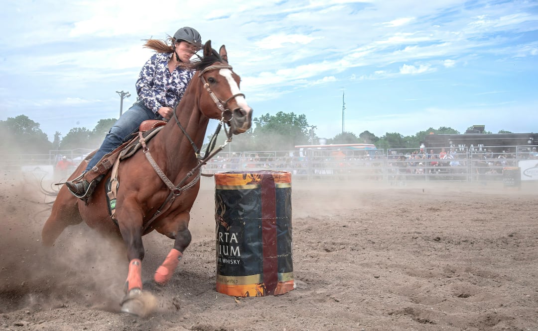 ¡La emoción del deporte ecuestre llega a Hidalgo! Foto: Pexels