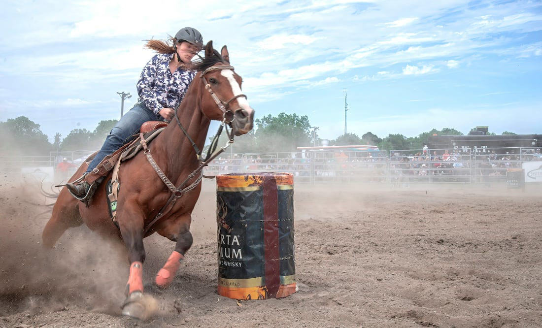 ¡La emoción del deporte ecuestre llega a Hidalgo! Foto: Pexels