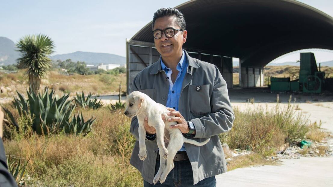 Alertan en Mineral de la Reforma sobre falsos veterinarios que esterilizan mascotas a domicilio | Facebook: Lalo Medecigo