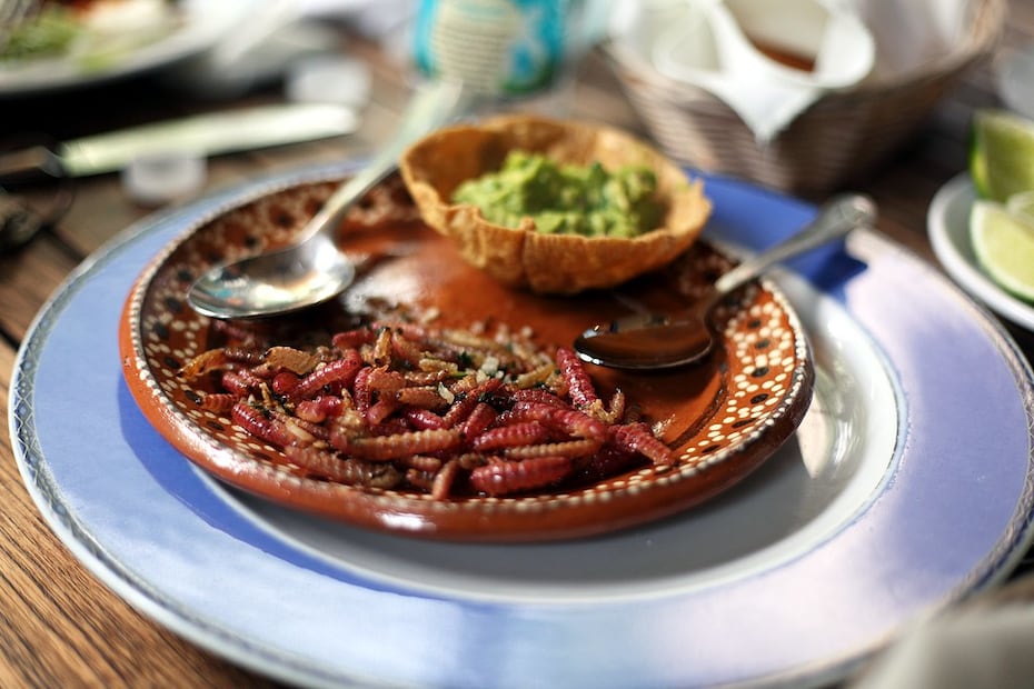 Del maguey al plato | Foto: Flickr